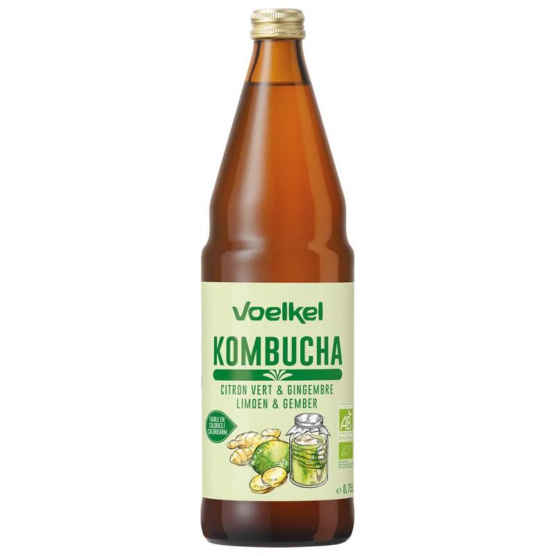 Kombucha